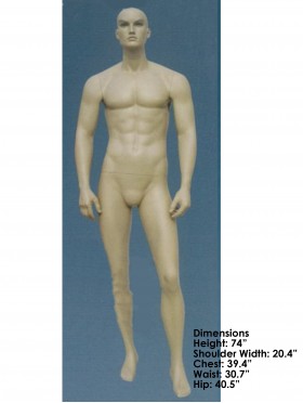 Full Size Male Mannequin Display